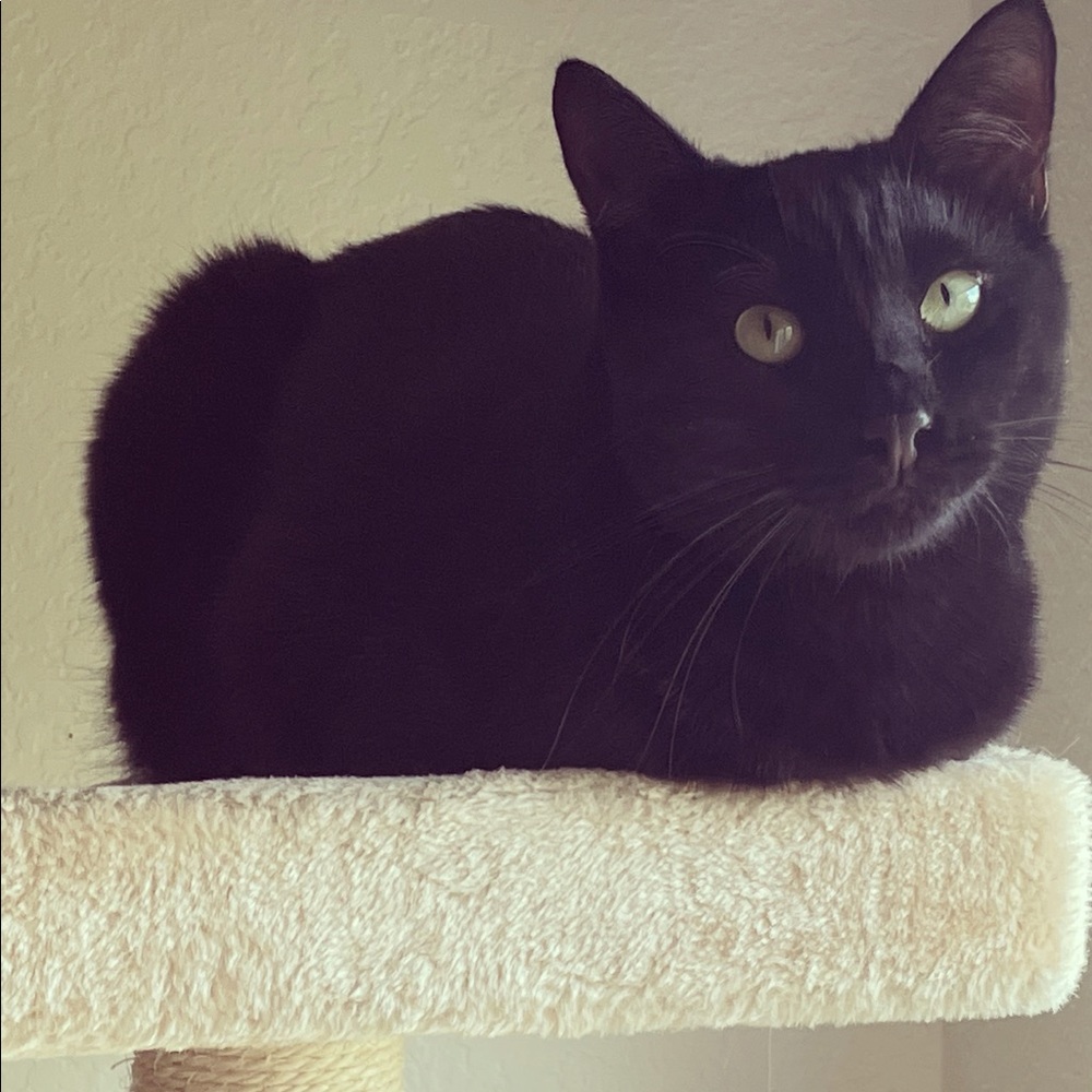 Meet your Posher, Sara